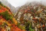 Есен в Балкана ; Коментари:13