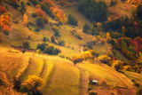 Есен в Родопите ; comments:13