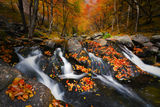 Есенно на Стара река... ; comments:23
