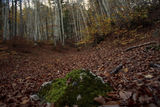 Есен в Родопите ; comments:1