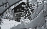 Пернишката хижа Славей с първият сняг за тази година ; comments:17