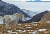 Високо в планината ; comments:8