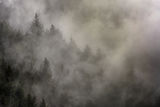 В мъглата ; comments:2