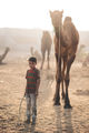 boy with camel ; comments:8