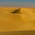 Под бялото слънце на пустинята ; comments:6