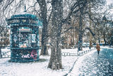 Снежна импресия из софийските улички ; Коментари:6