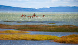 The colours of el calafate ; comments:5