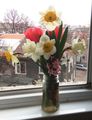 Пролетни цветя ; comments:1