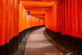 Fushimi Inari ; Коментари:3