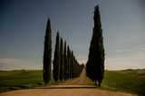  Toscana ; Коментари:6