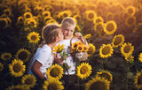 Sunflower kiss... ; Коментари:4