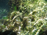 no name ( ID=2235424 ) ; comments:4
