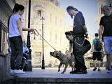 Улични срещи в Букурещ ; comments:10