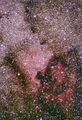 Wide field with North America nebula and Pelican nebula ; comments:4