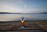 Охридското езеро и чаша ракия ; Коментари:5
