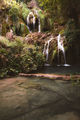 Крушунски водопади ; comments:4