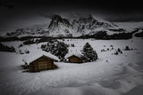 Alpe de Siusi.... ; comments:12