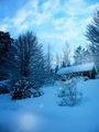 Шведска зима! ; comments:4