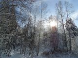 Зимно слънце ; comments:9