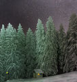 Замръзналата гора... ; comments:11
