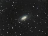 NGC 2903 - Спираловидна галактика в съзвездието ЛЪВ ; Коментари:7