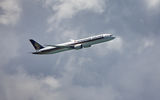 B-787 на Singapore Airlines ; comments:2