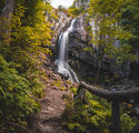 Boyana waterfall ; comments:3