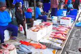 Fish market ; comments:1