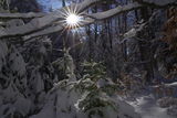 Светлина и сняг ; comments:7