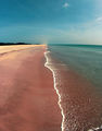 Плаж, Шри Ланка ; comments:4