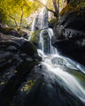 Боянски водопади ; comments:7