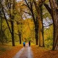 Есенна разходка ; comments:8