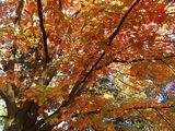 Есен в Южния парк ; comments:10