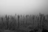 Мъгла ; No comments