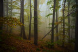 Витоша в мъгли през есента. ; comments:6