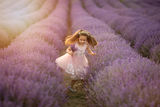 Happiness in lavender ; comments:4