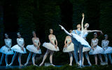 Russian Imperial Ballet,Swan Lake ; comments:2