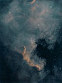 NGC7000 North America nebula ; comments:6