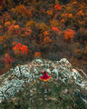 Само ако Есента беше принцеса, живееща във Врачанския балкан... ; comments:6