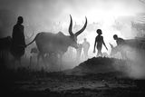 Mundari cattle camp ; comments:40