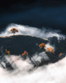 Есен в Родопа планина ; comments:25