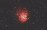 NGC 2174 - Monkey Head Nebula или една весела маймунка в космоса ; comments:6