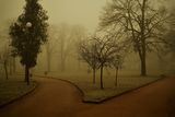 Мъглива сутрин ; comments:11