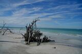 Longboat Key, Florida ; comments:5