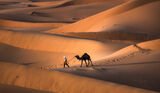 Пустинята Сахара ; comments:38