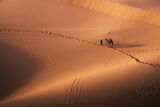 Цветовете на Сахара ; comments:24