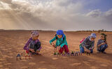 Децата на пустинята ; comments:36