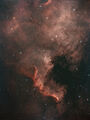 NGC7000 Мъглявината Северна Америка ; comments:10