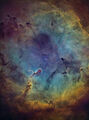 Elephant's Trunk Nebula IC 1396 ; comments:18