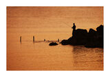 Риболов в златния час ; comments:13